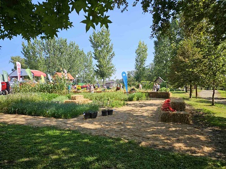 gornja radgona 3440