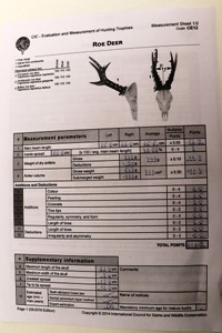 Verifikacija 5